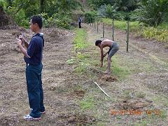 DSCN0317